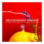 Roger et Gallet déodorant stick 24h Jean Marie Farina