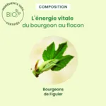 HerbalGem Figuier Concentré de bourgeons frais bio