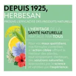 Herbesan infusion Detox bio sachets