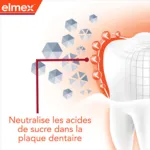 Dentifrice Elmex Anti-Caries Professional Orthodondie