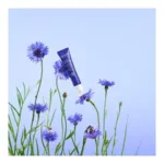 Melvita Roll on givré contour des yeux bleuet bio