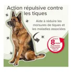 Collier anti puce chien Beaphar