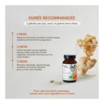 French Mush Lion's Mane Bio gélules