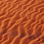 Endro Huile sèche sublimante bio