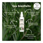 Biovetol Lotion Destruct'urine chat et chaton