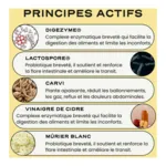 Circles 5 Day Digest+ gélule