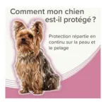 Collier anti puce chien Beaphar