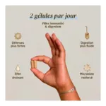 French Mush Shiitake bio gélules