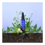 Melvita Eau florale de lavande bio