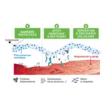 ActiRhino Spray buccal Maux de gorge intenses
