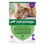 Advantage pipettes pour chat et lapin traitement anti puces