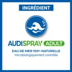 Audispray adulte spray auriculaire
