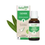 HerbalGem Olivier Jeunes pousses bio