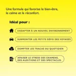 Fleurs de Bach Rescue Kids fraise pastilles