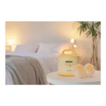 Medela Collecteur mains libres pour tire lait Symphony