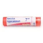 Boiron Aesculus hippocastanum granules