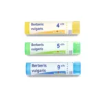 Boiron Berberis vulgaris granules
