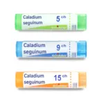 Boiron Caladium seguinum granules