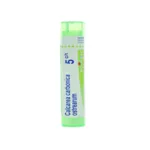 Boiron Calcarea carbonica ostrearum granules