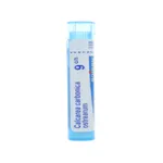 Boiron Calcarea carbonica ostrearum granules