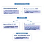 Boiron Arnica montana dose