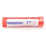Harpagophytum Boiron granules