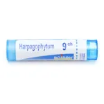 Harpagophytum Boiron granules