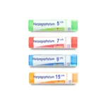 Harpagophytum Boiron granules