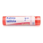 Boiron Kalmia latifolia granules