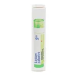 Boiron Ledum palustre 5CH granules pack de 3