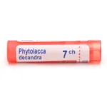 Boiron Phytolacca decandra granules