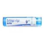 Boiron Solidago virga aurea granules