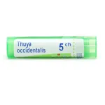 Thuya occidentalis granules homéopathie Boiron