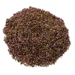 Iphym Bruyère Sommité Fleurie Coupée