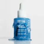 Endro sérum hydratant bio