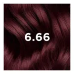 Phytocolor Kit Coloration Permanente Châtain Clair Cerise intense 6.66