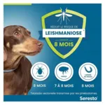Collier anti puces Seresto petit chien