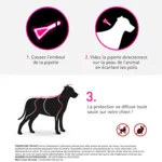 Frontline TRI-ACT spot on pipettes pour chien
