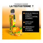 Eric Favre Boisson Testorine Booster orange