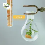 Libérill Enrouement gommes