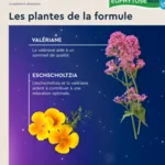 Euphytose Nuit LP 1,9 mg comprimés