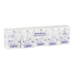 Paquets de mouchoirs en papier compact Euromedis