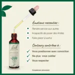 Fleurs de Bach Centaury n°4