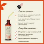 Fleurs de Bach Cherry plum n°6