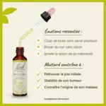 Fleurs de Bach Mustard n°21