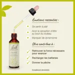 Fleurs de Bach Olive n°23