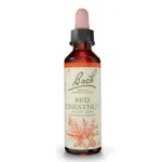 Fleurs de Bach Red chestnut n°25
