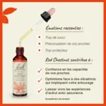 Fleurs de Bach Red chestnut n°25