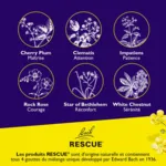 Fleurs de Bach Rescue Nuit Spray sans alcool