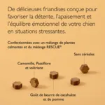 Fleurs de Bach Rescue Pets Friandises relaxantes pour chiens